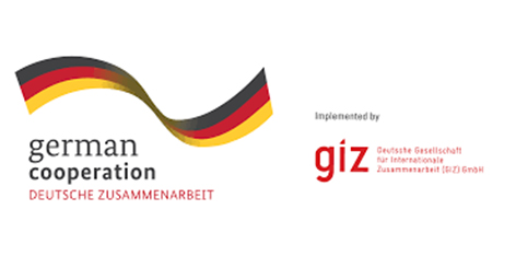 Giz Logo