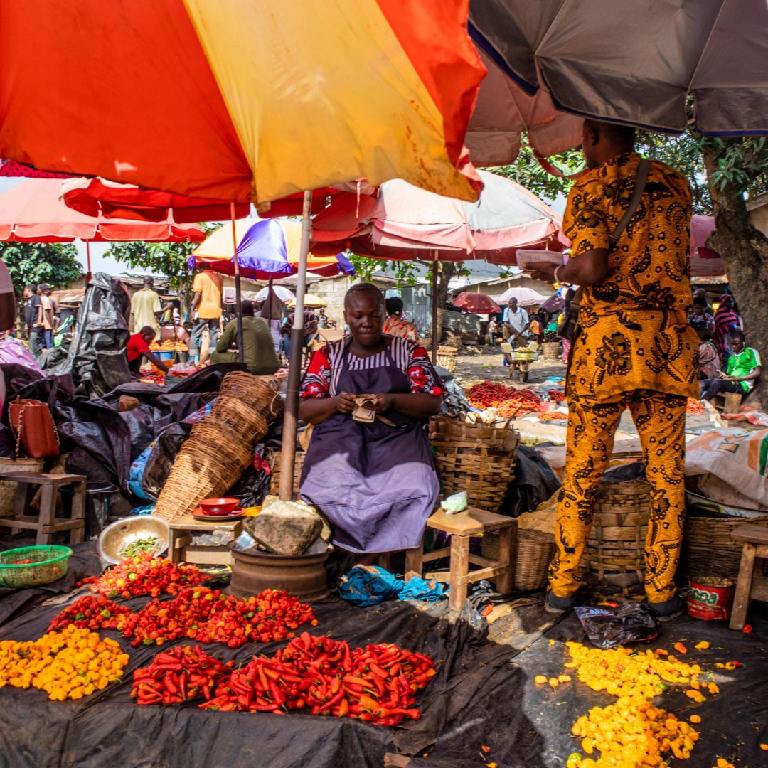 Nigeria Pilot Post Harvest Loss Reduction