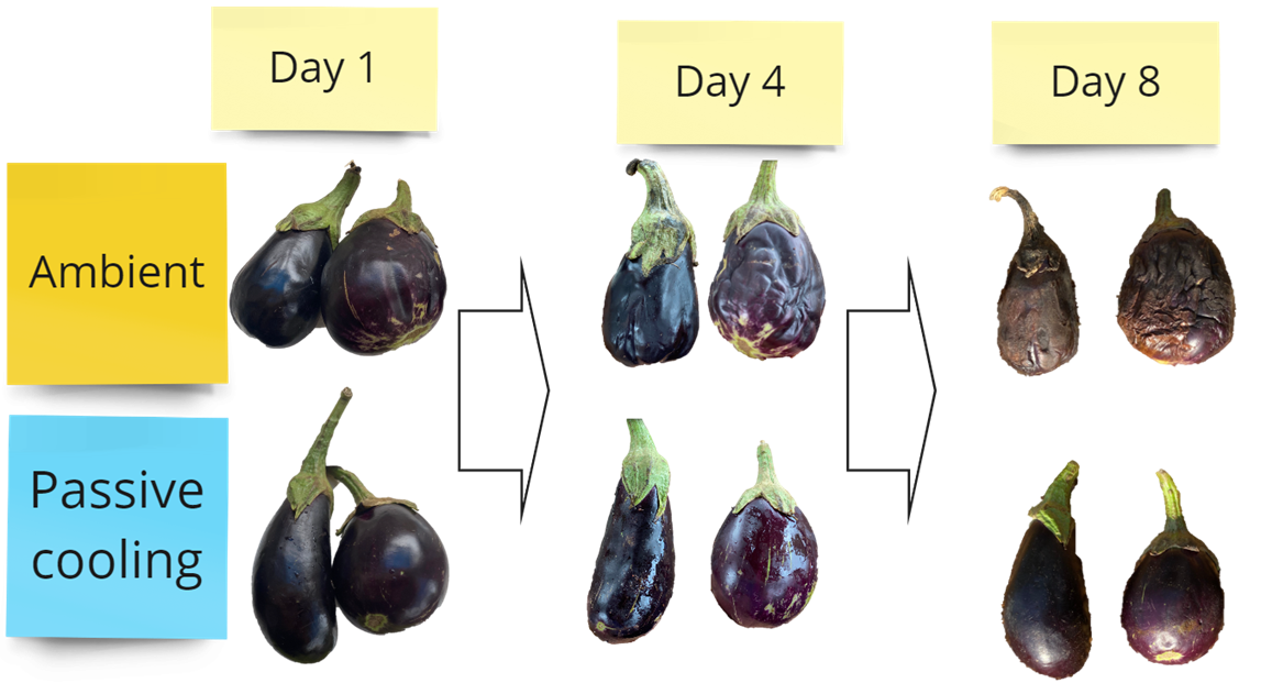 
Warning: Illegal string offset 'alt' in /home/httpd/vhosts/yourvcca.org/httpdocs/wp-content/themes/vcca/single.php on line 88
h